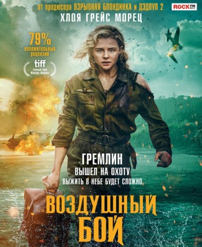 Постер к фильму Воздушный бой / Shadow in the Cloud (2020) BDRemux 1080p от селезень | HDRezka Studio