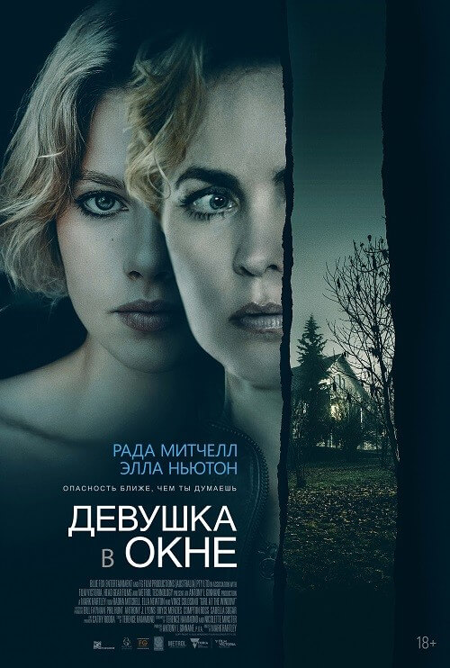 Постер к фильму Девушка в окне / Girl at the Window (2022) BDRemux 1080p от селезень | D