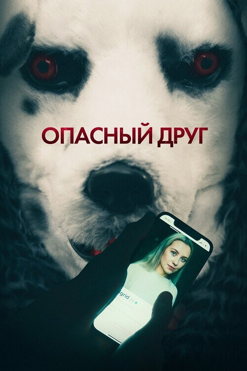 Постер к фильму Опасный друг / Good Boy (2022) BDRip 1080p от DoMiNo & селезень | D